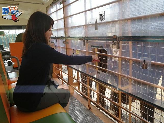 九州自然動物園 親子旅遊最佳景點 @Ya!Travel 野旅行新聞網