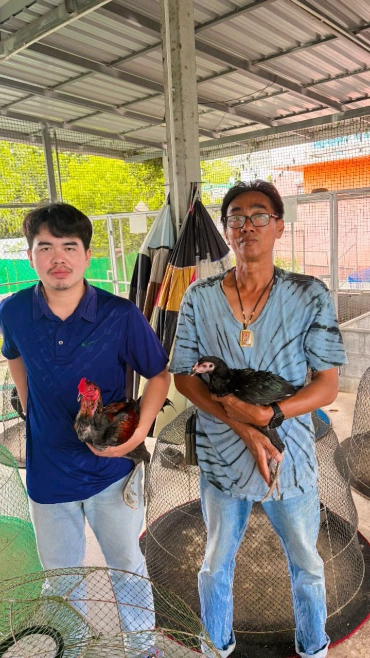 กิตติภูมิฟาร์ม