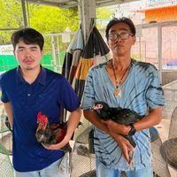 กิตติภูมิฟาร์ม