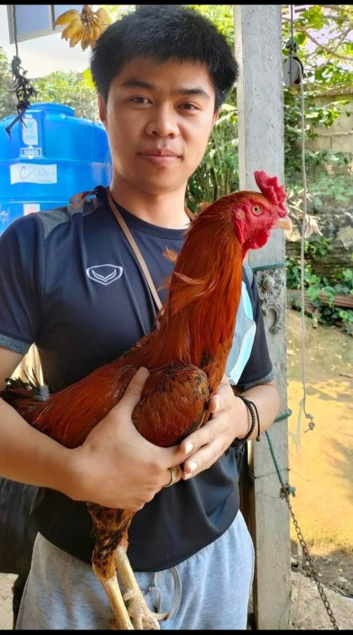 ซุ้มเชลซีฟาร์ม เชียงราย