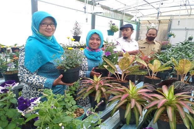 Kampung KB Lingga Asri Kembangkan Wisata Bunga di Era New 