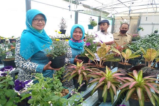 Kampung KB Lingga Asri Kembangkan Wisata Bunga di Era New Kampung KB Lingga Asri Kembangkan Wisata Bunga di Era New