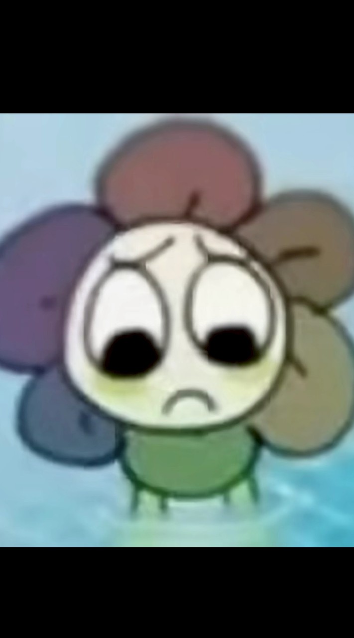 💐 dandy world's Thailand 🌏