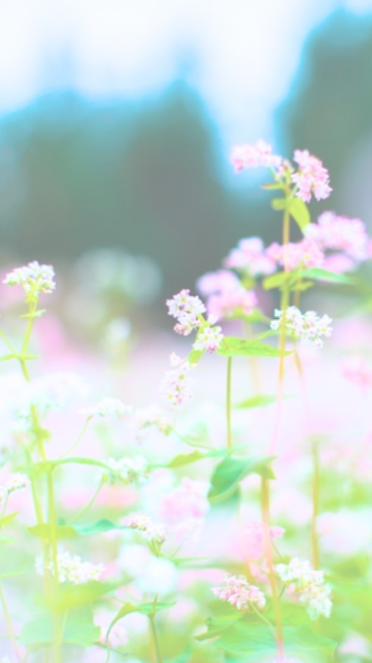 壁打ちです ライトします【v0sg】