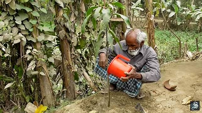 48 Tahun Menanam Pohon, Kisah Tukang Becak Ini Menyentuh Hati