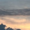 残念な事に、存在している。×ＢＳＤ壁打。