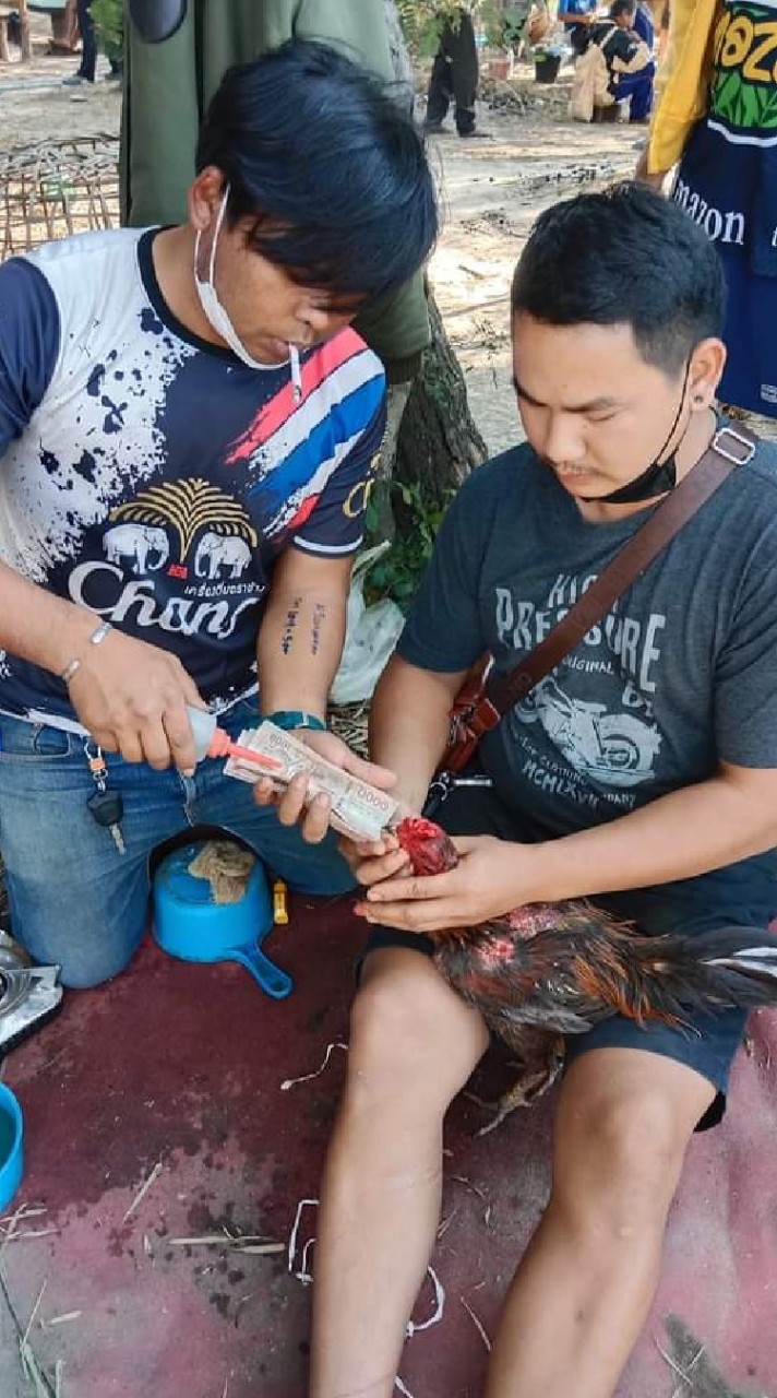 ซุ้ม🐓ก.กฤษณะฟาร์มไก่ชนมุกดาหาร