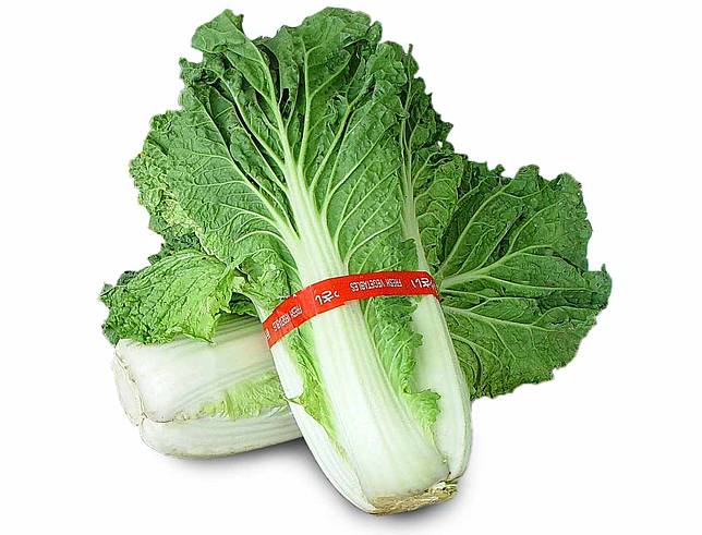 白菜圖鑑 白菜家族立足地球五千年 大白竟是小白後代 連青江菜都是正宗小白菜 上下游新聞市集 Line Today
