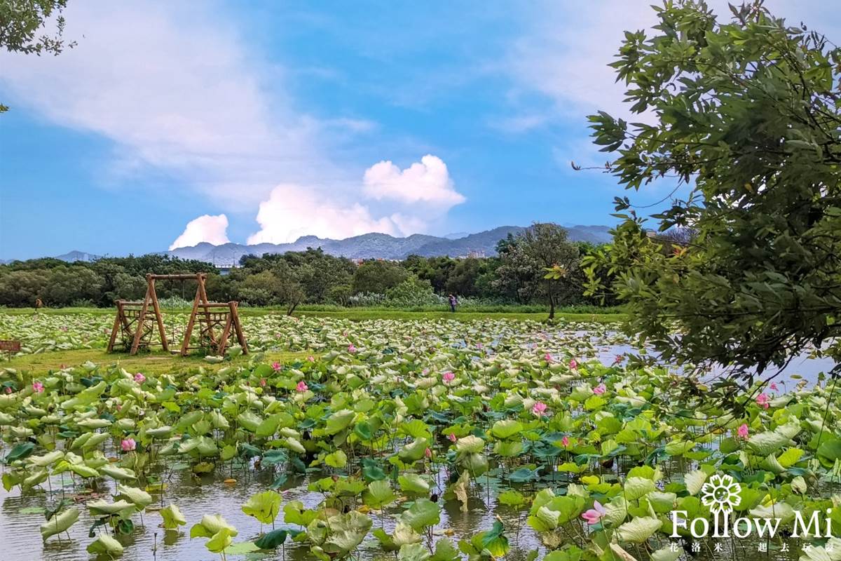 連新北人都不知道！樹林８處免費景點：巨型飛碟公園、愛心池塘、繡球花祕境