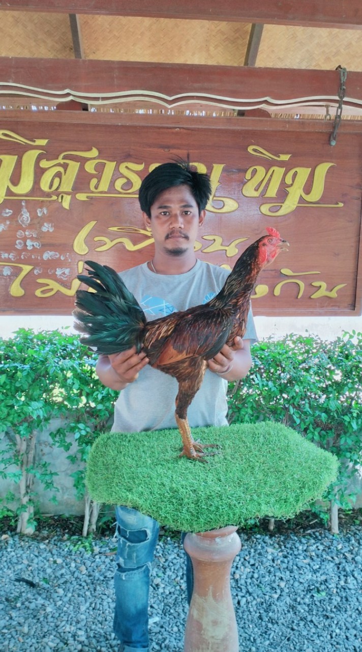 ซุ้มส.รุ่งโรจน์