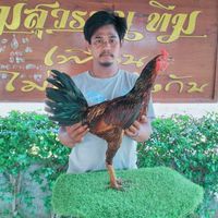 ซุ้มส.รุ่งโรจน์