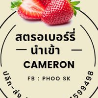 🍓สตรอเบอร์รี่ คาเมรอน🍓