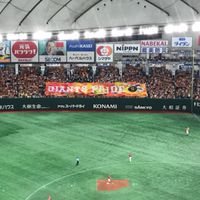 ジャイアンツ ファン😊