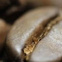 新竹生豆小量分售