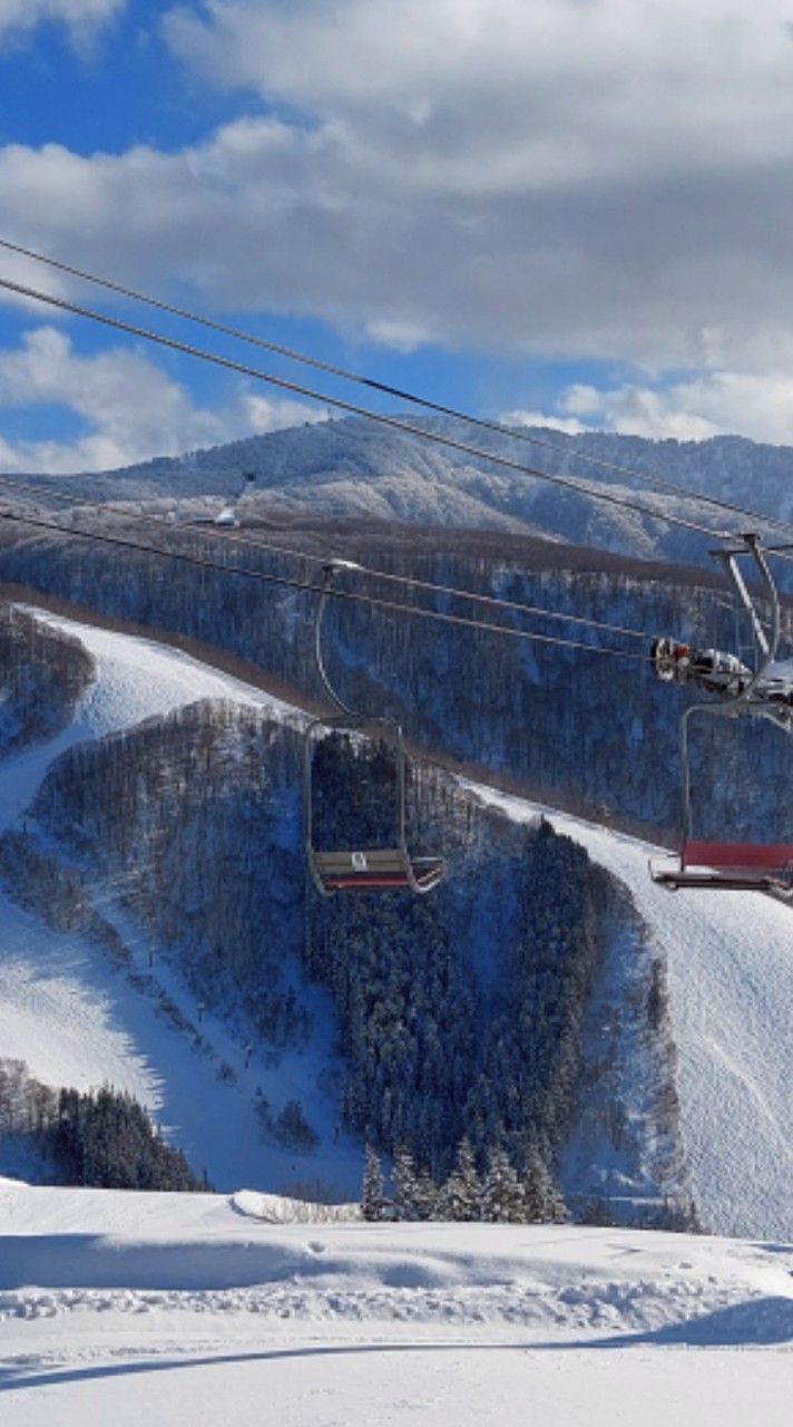 2026全関西アルペン