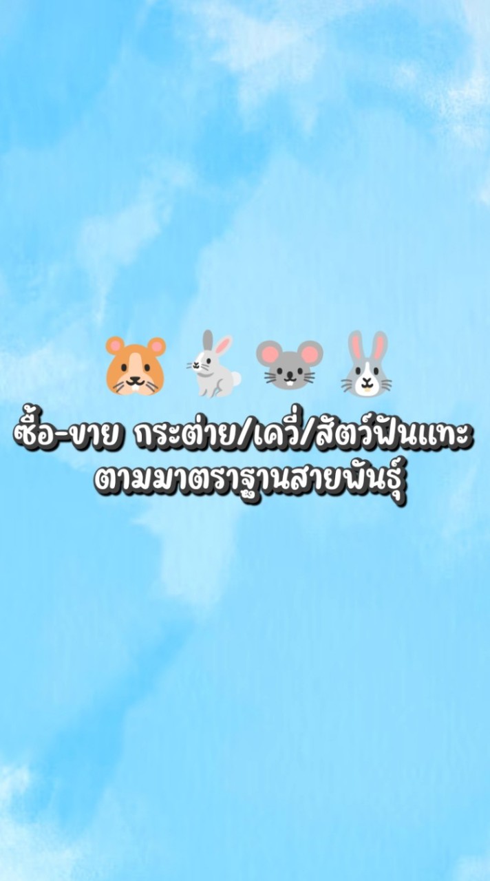 🐰🐭🐹ซื้อ-ขาย กระต่าย/เควี่/สัตว์ฟันแทะ ตามมาตราฐานสายพันธุ์ 💯