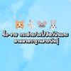 🐰🐭🐹ซื้อ-ขาย กระต่าย/เควี่/สัตว์ฟันแทะ ตามมาตราฐานสายพันธุ์ 💯