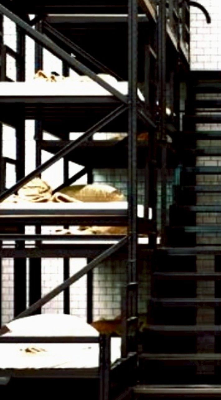 イカゲーム緩也🥰‼️‼️