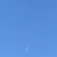 看見智能秘書客服