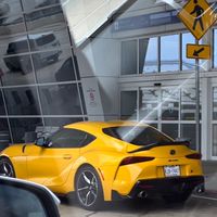 Supra lovers