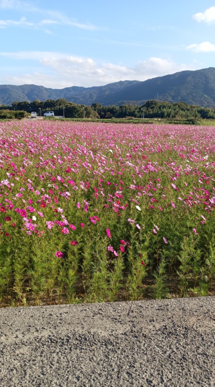 徳島〜近県〜雑談のお部屋