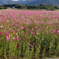 徳島〜近県〜雑談のお部屋