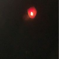 外籍看護之雇主交流分享群！