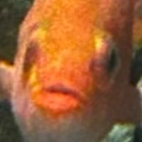 みなさん暇ですよね?話しましょう。