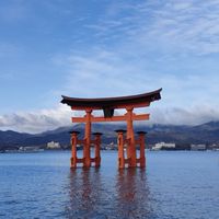 ⛩️宮島🦌水江卓也🍁11/24講演会　盛り上げ隊✨(参加者)