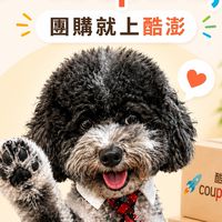 Coupang酷澎扯價優惠即時報報