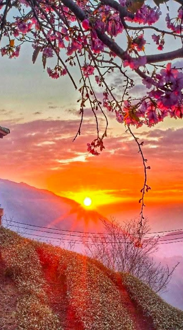 50-60+誰來聊天,緣來在這