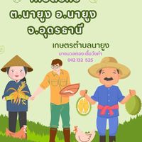 เกษตรกร ต.นายูง อ.นายูง