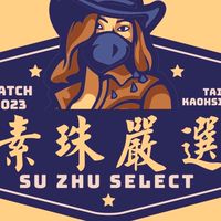 素珠阿嬤二手錶