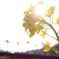 ライトボイメ雑談　歌&セリフ