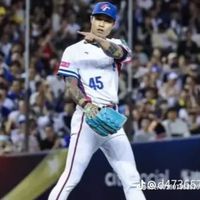 棒球球迷中華隊