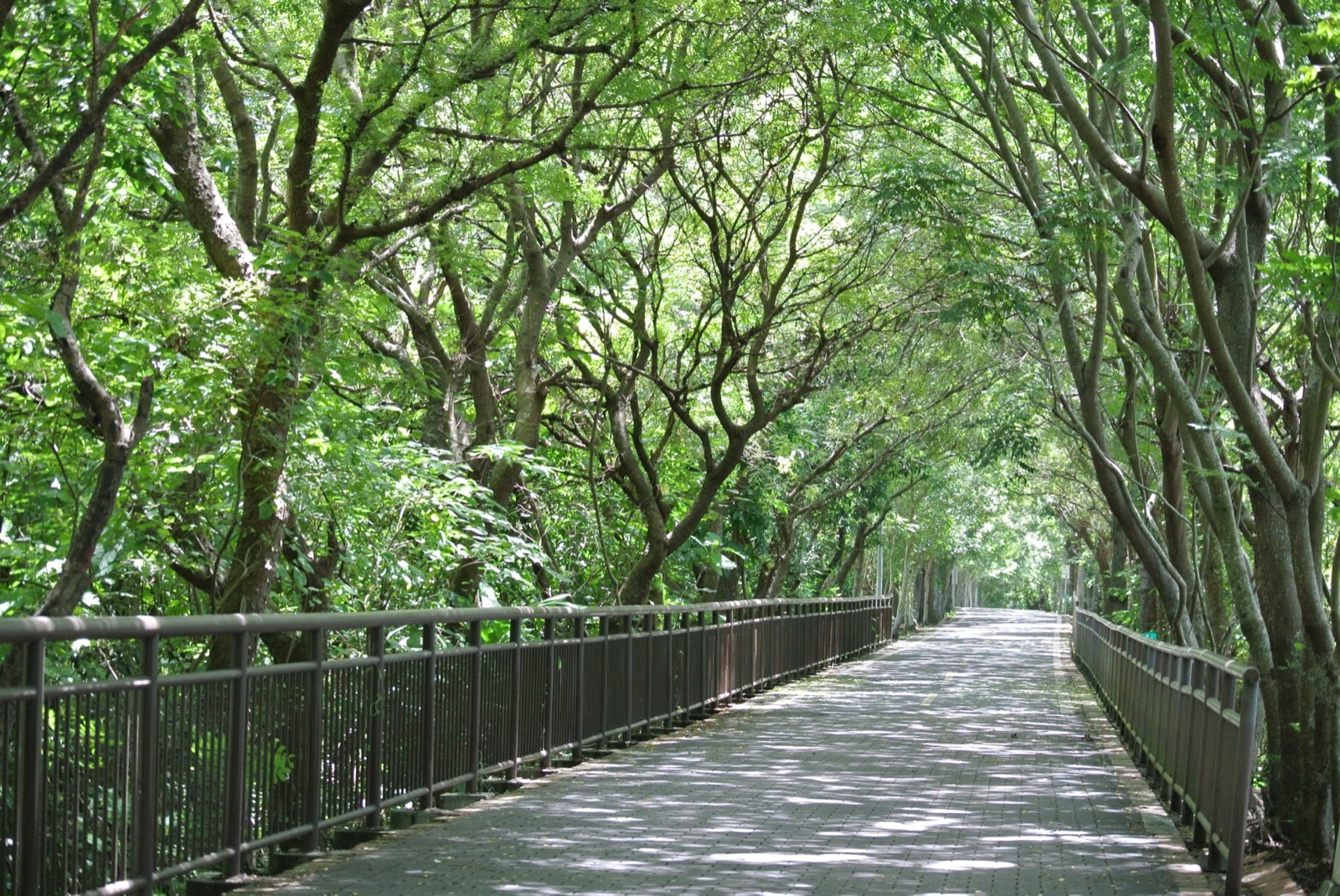 圖片來源/東豐自行車綠廊-LINE熱點用戶