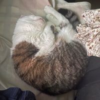抬槓靠北區