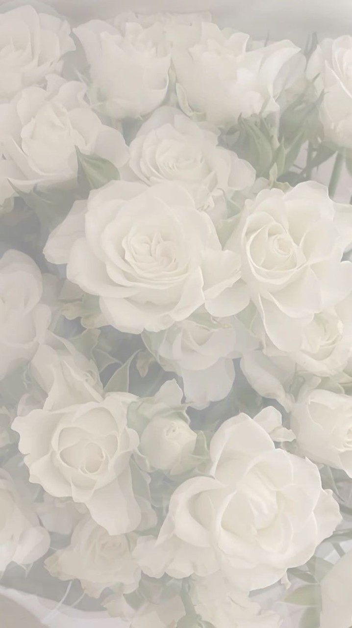 ２４３４：声ハント