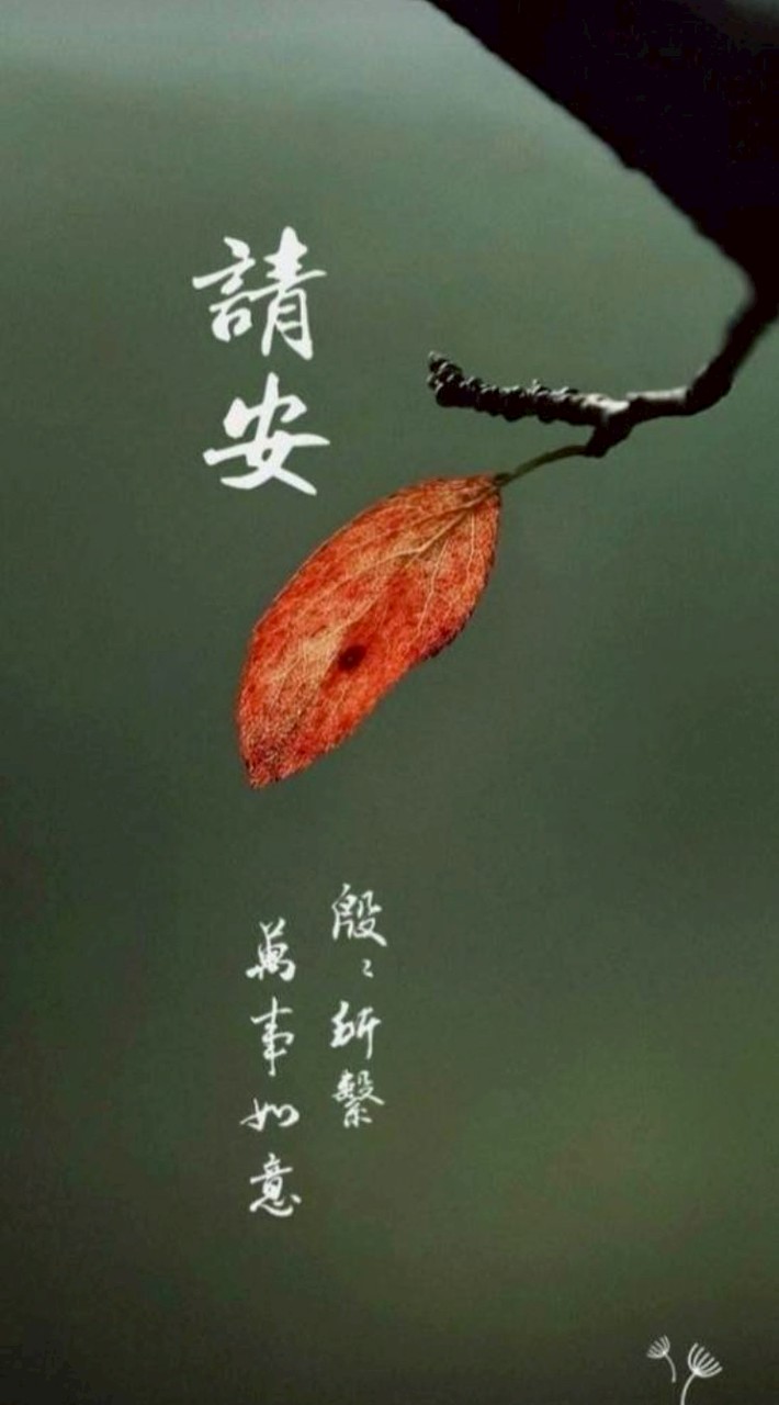 詐騙不要來~圖文分享