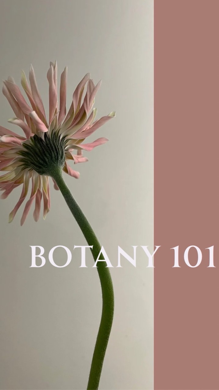 もくもく編みもの会🧶 @ Botany 101 💐