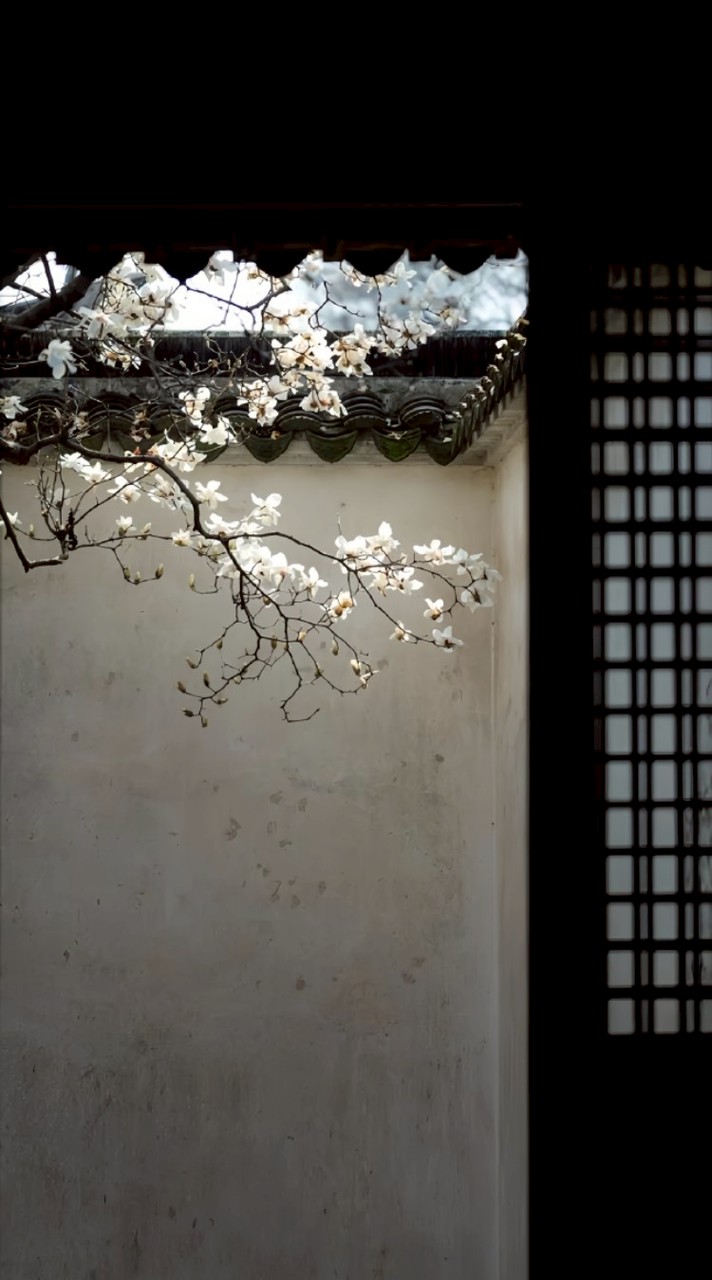 ﹙ 夜兰 ﹚，𝙨𝙪𝙥𝙚𝙧𝙫𝙞𝙨𝙤𝙧 ⠀❛  𝙮𝙪𝙚𝙡𝙖𝙣 ▫