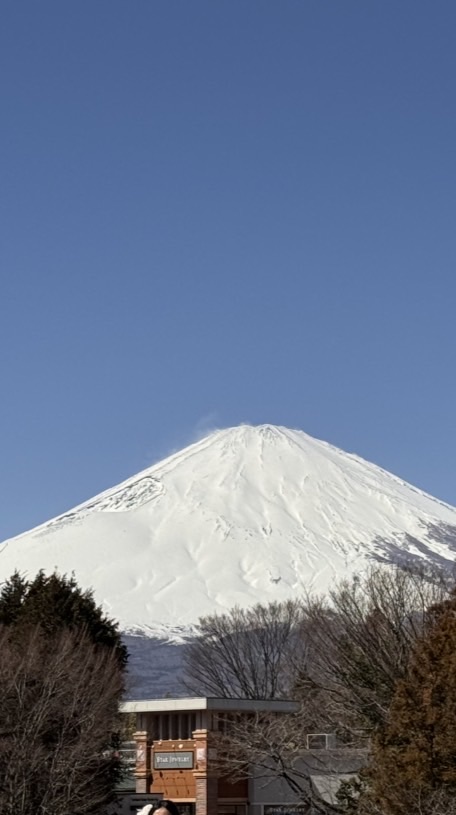 4/4-4/8 春櫻關西5日