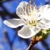 一起來學知識技能、豐富人生生活~