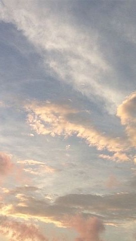 都立受験生、在校生、卒業生のの集い場