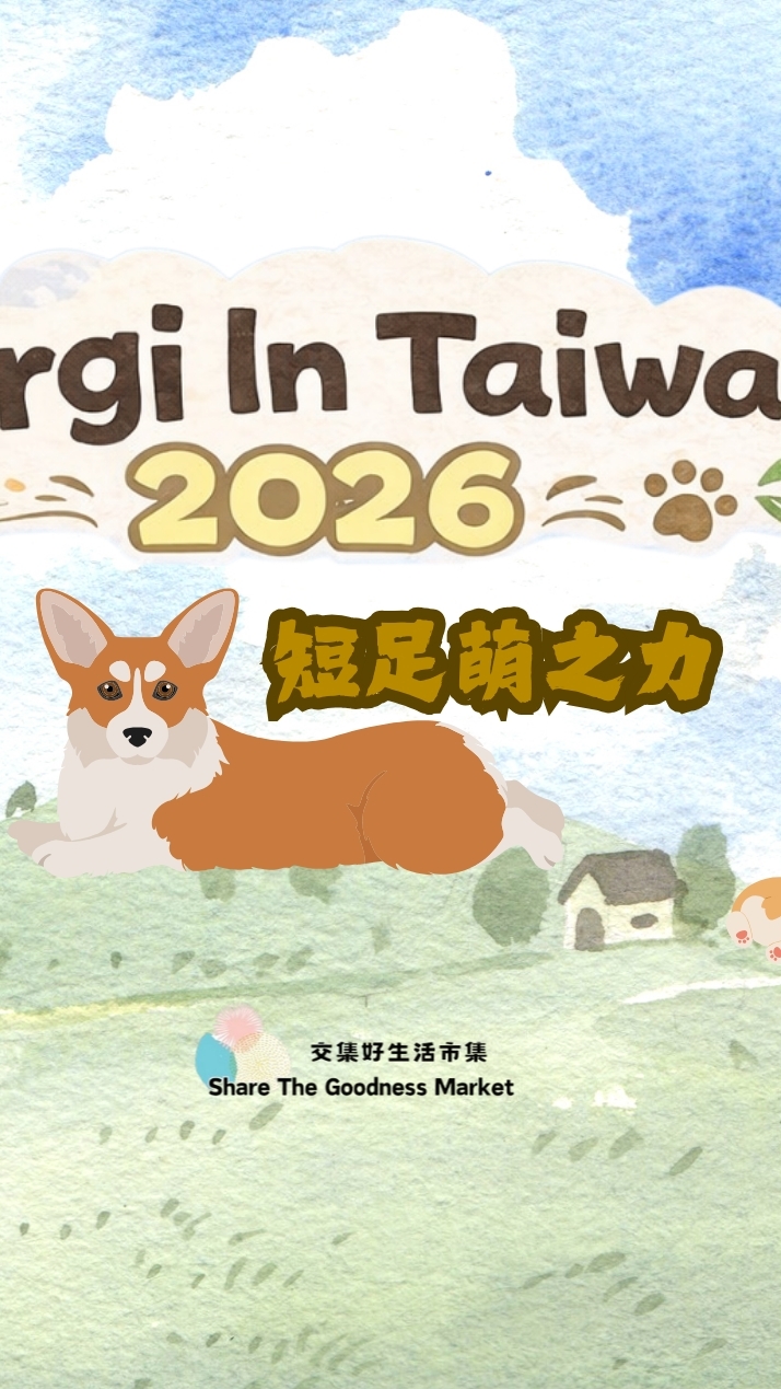 2026柯基 短足萌之力