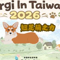 2026柯基 短足萌之力