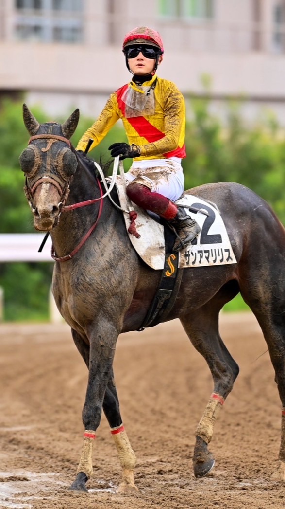 精神と馬の部屋🐴のオープンチャット