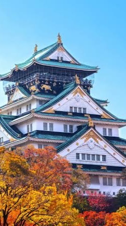 รับหิ้ว-พรีออเดอร์สินค้า🇯🇵✈️
