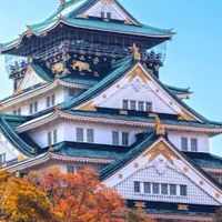 รับหิ้ว-พรีออเดอร์สินค้า🇯🇵✈️