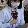 心臓、心音大好きさんいらっしゃい